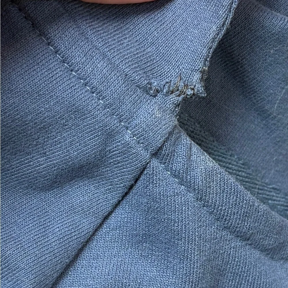 SPLENDID X WILD ONE Blue Dog Sweater